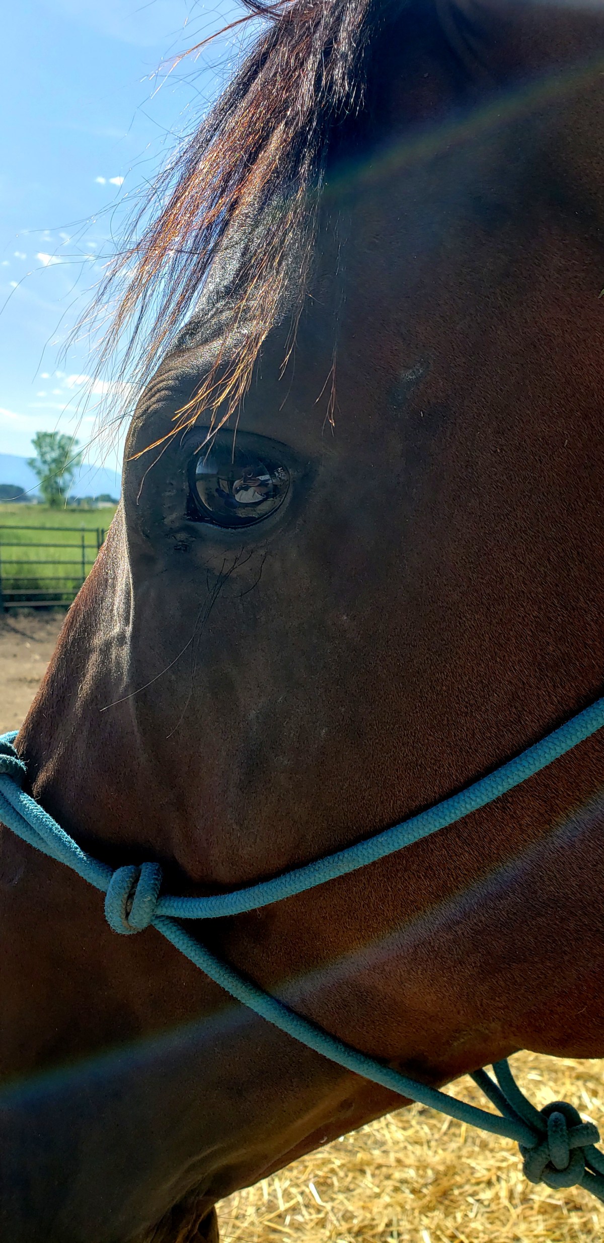 Ulcers Or Maybe&nbsp;Not