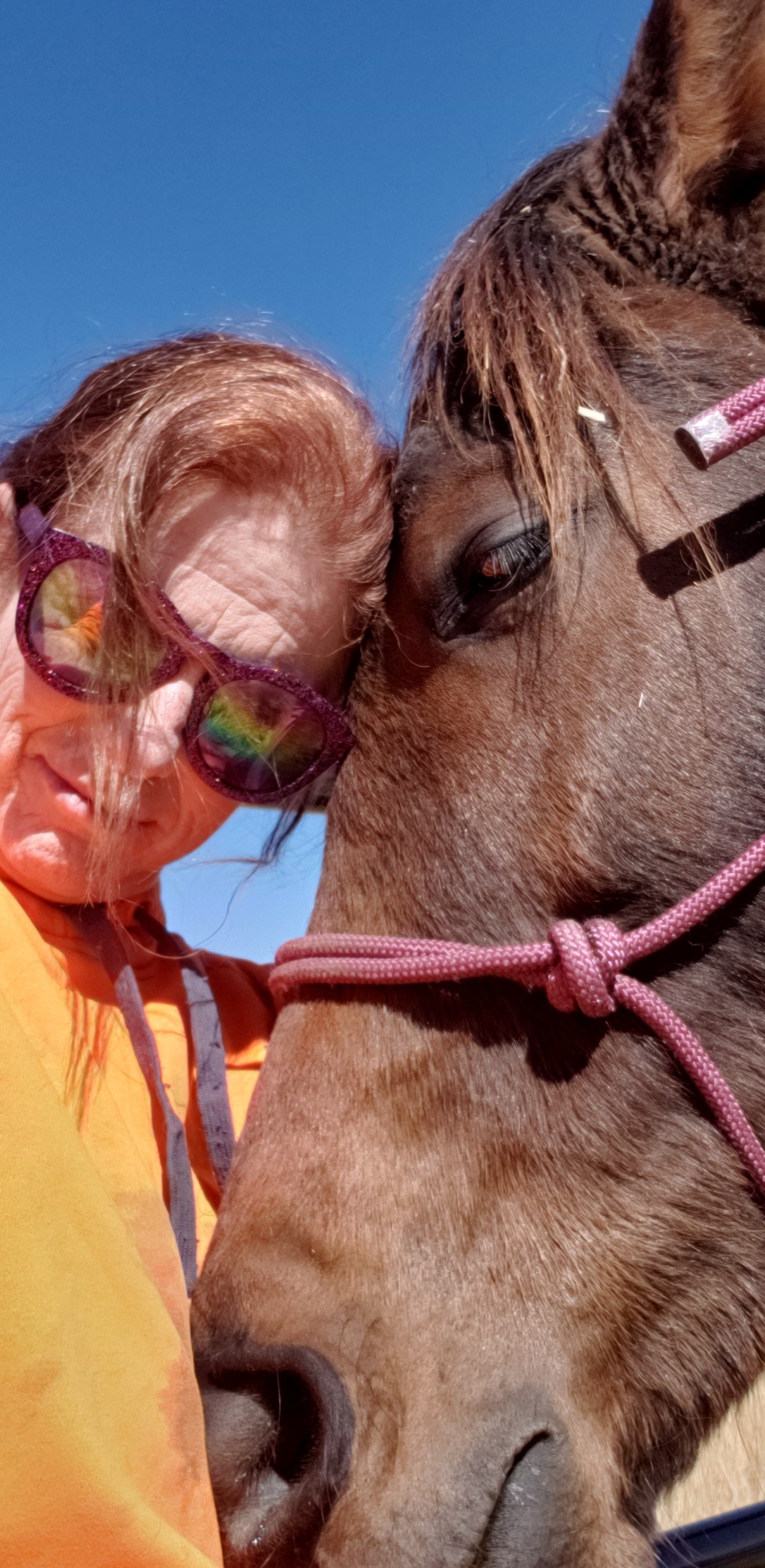 Let’s Do This For&nbsp;Mojo