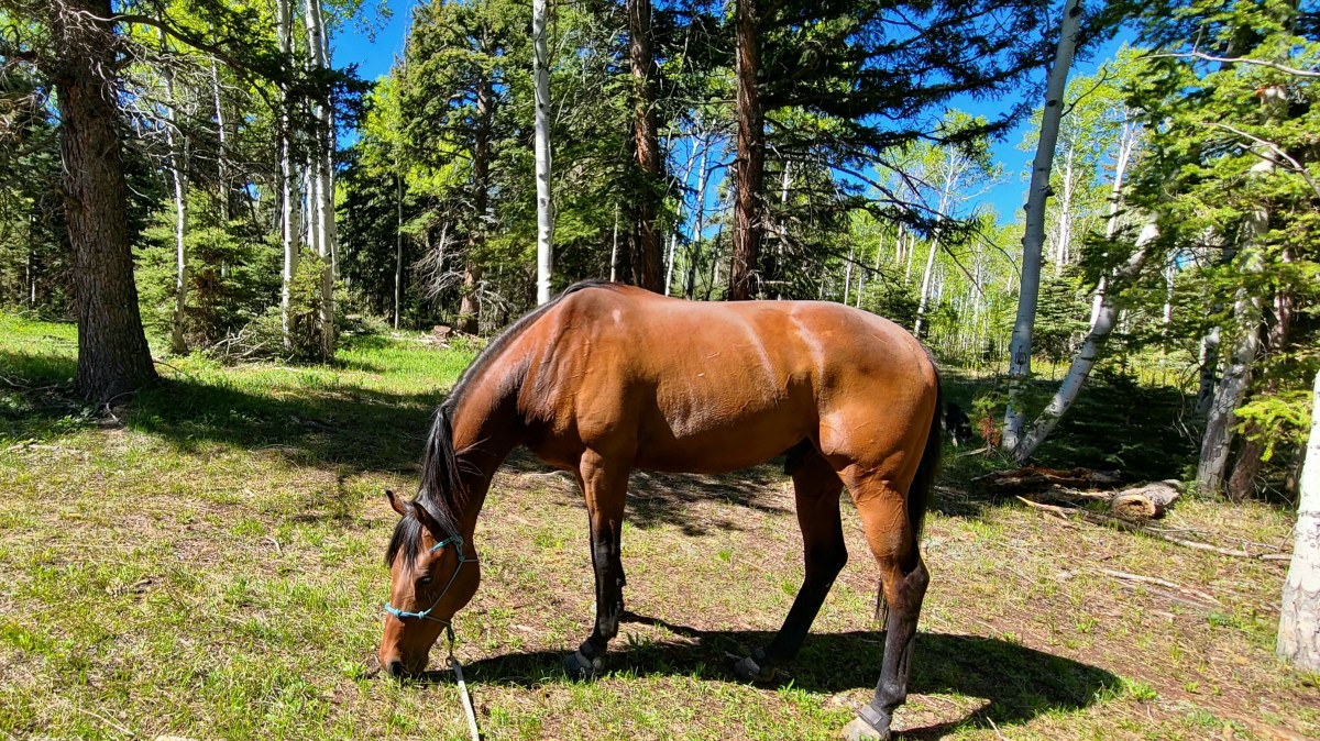 Life By The&nbsp;Drop