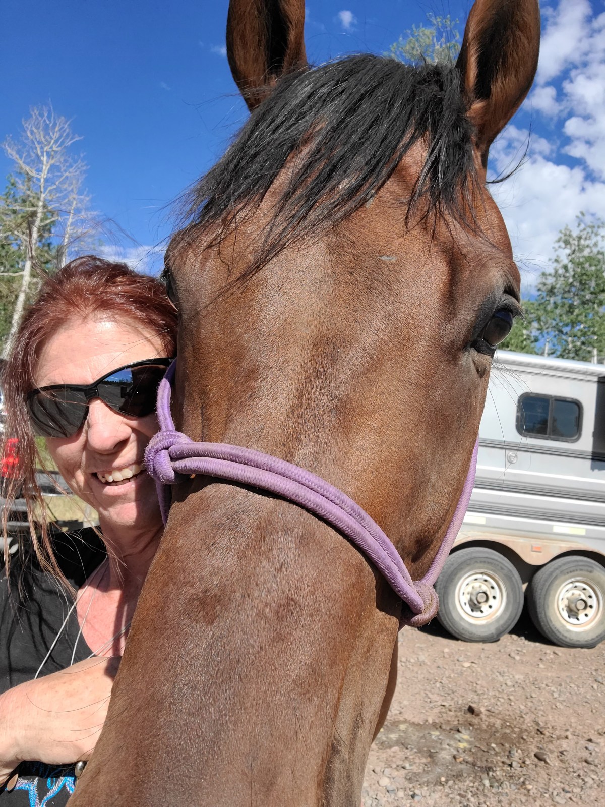 Build a Barn and the Horse Will&nbsp;Come